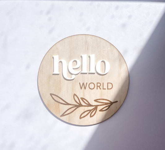 Hello World Plaque | Fern