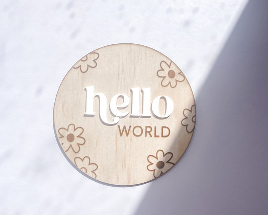 Hello World Plaque | Daisy